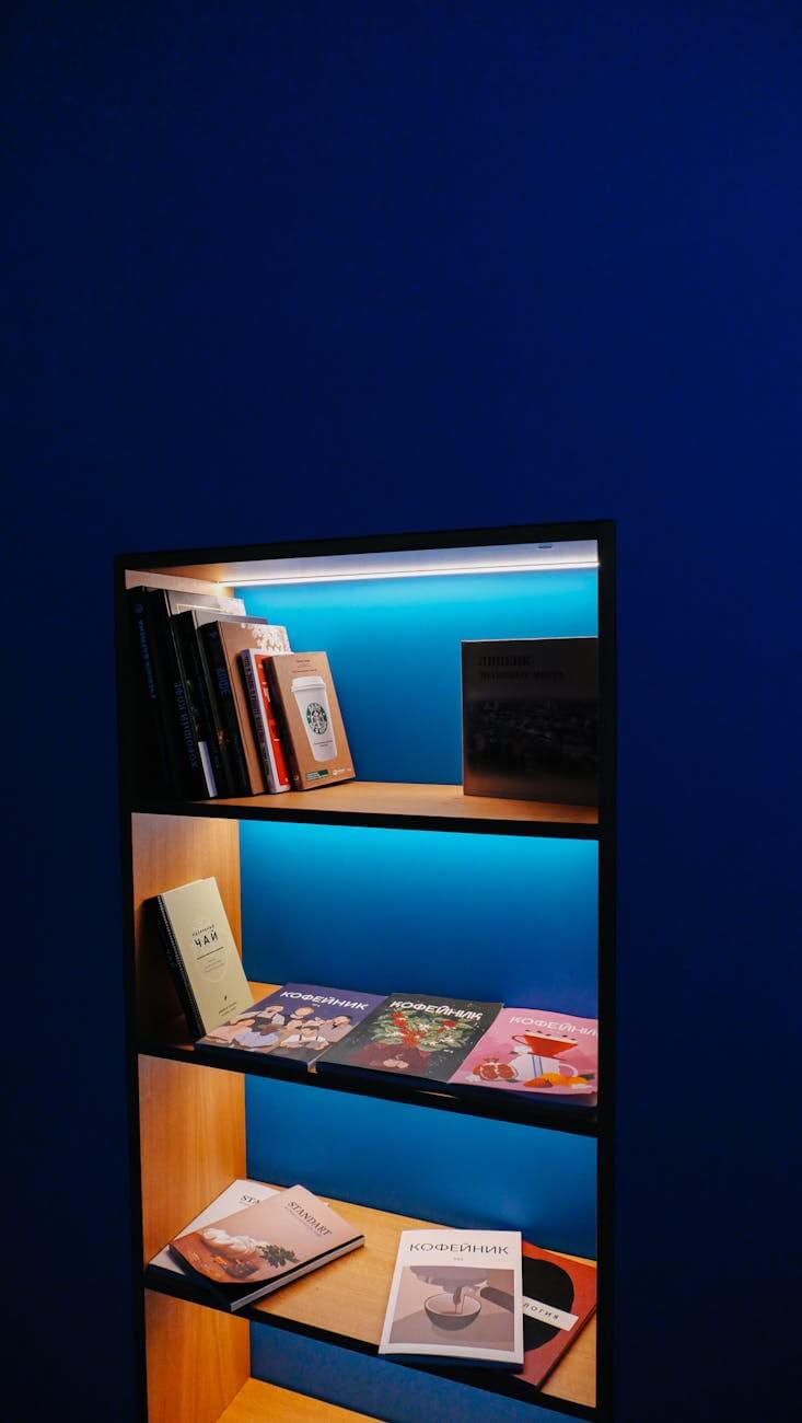 magazines and books on shelved